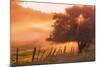 Sunburst Tree, Sunrise in Petaluma, Sonoma Valley, California-Vincent James-Mounted Photographic Print
