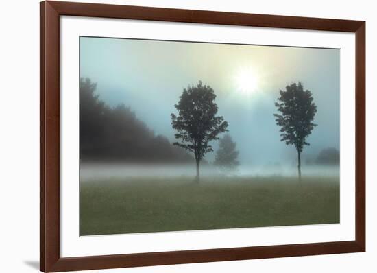 Sunburst-Monte Nagler-Framed Art Print