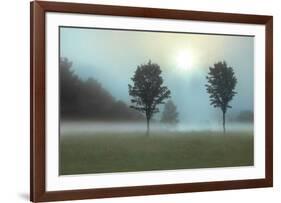 Sunburst-Monte Nagler-Framed Art Print