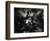 Sunburstm Hawaii, 1978-Brett Weston-Framed Photographic Print