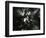 Sunburstm Hawaii, 1978-Brett Weston-Framed Photographic Print