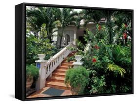 Sunbury Plantation House, St. Phillip Parish, Barbados, Caribbean-Greg Johnston-Framed Stretched Canvas