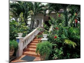 Sunbury Plantation House, St. Phillip Parish, Barbados, Caribbean-Greg Johnston-Mounted Photographic Print