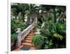 Sunbury Plantation House, St. Phillip Parish, Barbados, Caribbean-Greg Johnston-Framed Photographic Print