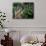 Sunbury Plantation House, St. Phillip Parish, Barbados, Caribbean-Greg Johnston-Mounted Photographic Print displayed on a wall