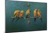 Sunconures-Michael Jackson-Mounted Giclee Print