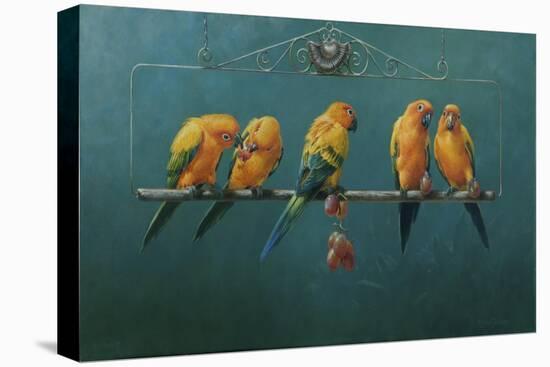 Sunconures-Michael Jackson-Stretched Canvas