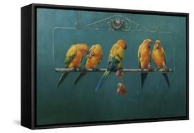 Sunconures-Michael Jackson-Framed Stretched Canvas