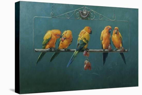 Sunconures-Michael Jackson-Stretched Canvas