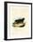 Sunda Stink Badger-null-Framed Giclee Print