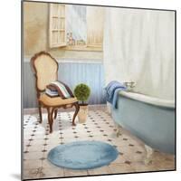 Sundance Bath I-Elizabeth Medley-Mounted Art Print