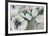 Sundance-Angela Maritz-Framed Giclee Print