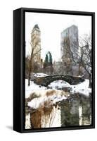 Sunday at Central Park-Philippe Hugonnard-Framed Stretched Canvas