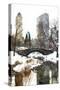 Sunday at Central Park-Philippe Hugonnard-Stretched Canvas