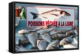 Sunday Fish Market at Vieux Port-Nico Tondini-Framed Stretched Canvas