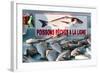 Sunday Fish Market at Vieux Port-Nico Tondini-Framed Photographic Print