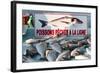 Sunday Fish Market at Vieux Port-Nico Tondini-Framed Photographic Print