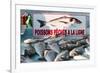 Sunday Fish Market at Vieux Port-Nico Tondini-Framed Photographic Print