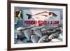 Sunday Fish Market at Vieux Port-Nico Tondini-Framed Photographic Print