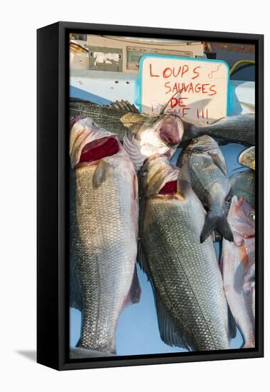 Sunday Fish Market at Vieux Port-Nico Tondini-Framed Stretched Canvas