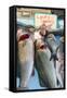 Sunday Fish Market at Vieux Port-Nico Tondini-Framed Stretched Canvas