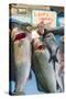 Sunday Fish Market at Vieux Port-Nico Tondini-Stretched Canvas