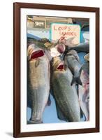 Sunday Fish Market at Vieux Port-Nico Tondini-Framed Premium Photographic Print