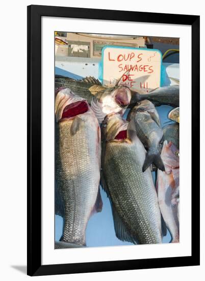 Sunday Fish Market at Vieux Port-Nico Tondini-Framed Premium Photographic Print