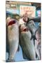 Sunday Fish Market at Vieux Port-Nico Tondini-Mounted Premium Photographic Print