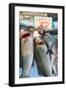 Sunday Fish Market at Vieux Port-Nico Tondini-Framed Photographic Print