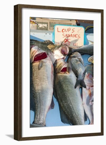 Sunday Fish Market at Vieux Port-Nico Tondini-Framed Photographic Print