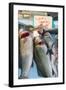 Sunday Fish Market at Vieux Port-Nico Tondini-Framed Photographic Print