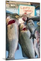 Sunday Fish Market at Vieux Port-Nico Tondini-Mounted Photographic Print