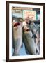 Sunday Fish Market at Vieux Port-Nico Tondini-Framed Photographic Print