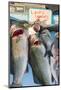 Sunday Fish Market at Vieux Port-Nico Tondini-Mounted Photographic Print