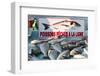 Sunday Fish Market at Vieux Port-Nico Tondini-Framed Premium Photographic Print