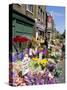 Sunday Flower Market, Columbia Road, London, England, United Kingdom-Lousie Murray-Stretched Canvas