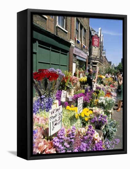 Sunday Flower Market, Columbia Road, London, England, United Kingdom-Lousie Murray-Framed Stretched Canvas