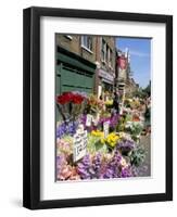 Sunday Flower Market, Columbia Road, London, England, United Kingdom-Lousie Murray-Framed Photographic Print