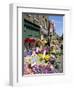 Sunday Flower Market, Columbia Road, London, England, United Kingdom-Lousie Murray-Framed Photographic Print