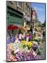 Sunday Flower Market, Columbia Road, London, England, United Kingdom-Lousie Murray-Mounted Photographic Print