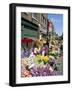 Sunday Flower Market, Columbia Road, London, England, United Kingdom-Lousie Murray-Framed Photographic Print