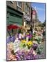 Sunday Flower Market, Columbia Road, London, England, United Kingdom-Lousie Murray-Mounted Photographic Print