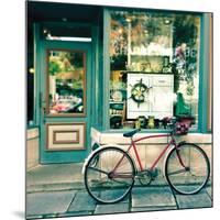 Sunday Morning Bike-Sue Schlabach-Mounted Art Print