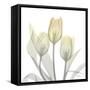 Sunday Morning Tulips Two-Albert Koetsier-Framed Stretched Canvas