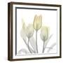 Sunday Morning Tulips Two-Albert Koetsier-Framed Photographic Print