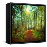 Sunday Morning Walk-Dirk Wuestenhagen-Framed Stretched Canvas