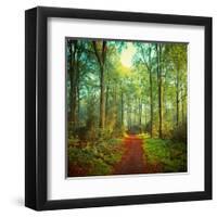 Sunday Morning Walk-Dirk Wuestenhagen-Framed Art Print