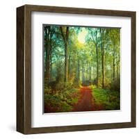 Sunday Morning Walk-Dirk Wuestenhagen-Framed Art Print