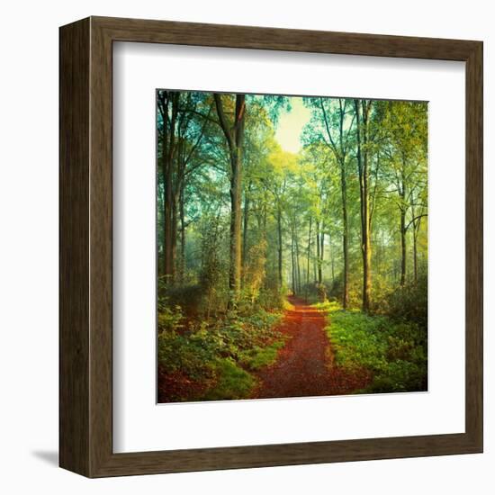 Sunday Morning Walk-Dirk Wuestenhagen-Framed Art Print